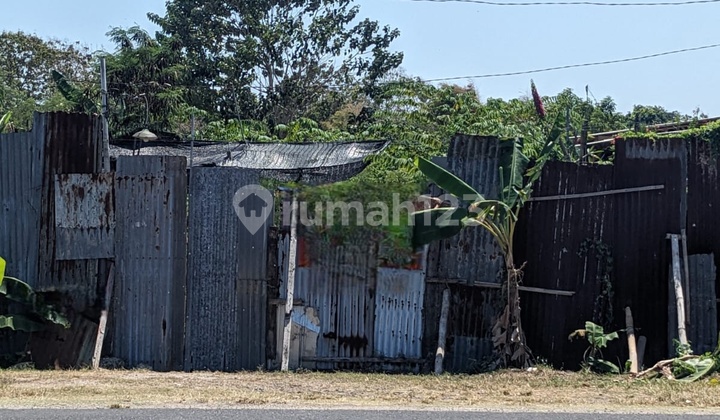 Ideal Land for Villa or Guest House – 10 Acres Alas Arum