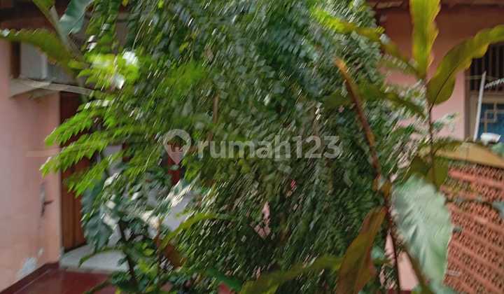 For Sale House in Kebon Jeruk, West Jakarta For Sale House in Kebon Jeruk, West Jakarta