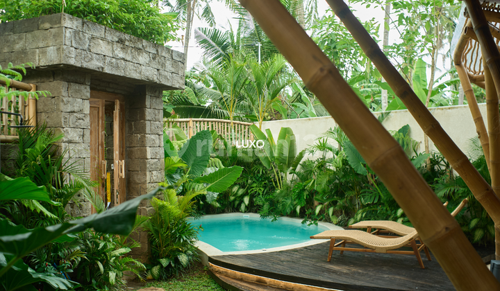 Your peaceful two-bedroom retreat near Green School