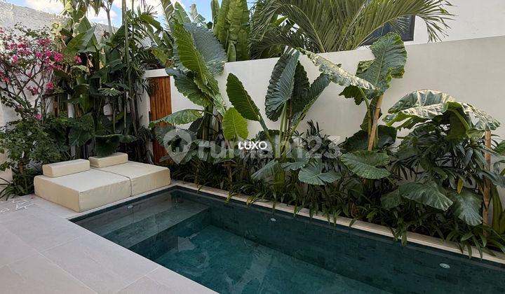 Villa 3 Bedrooms in Pererenan Villa 3 Bedrooms in Pererenan