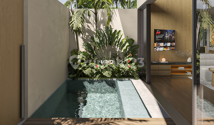 Villa 2 Bedrooms in Canggu Villa 2 Bedrooms in Canggu