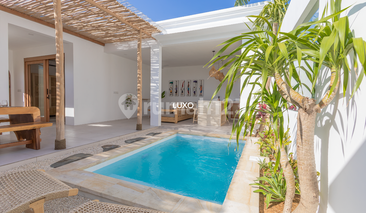 Modern 1-Bedroom Retreat Near Canggu with Private Pool & Strategic Location Modern 1-Bedroom Retreat Near Canggu with Private Pool & Strategic Location