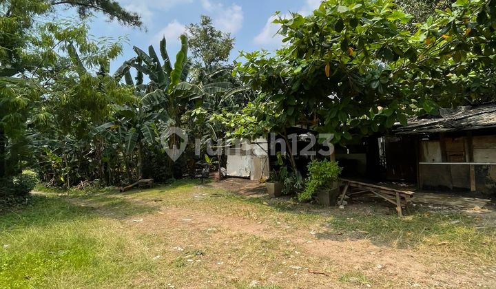 Dijual Tanah Murah Dibawah Njop, Di Kemang Jakarta Selatan, Cocok Untuk Bangun Gedung 32 Lantai, Hotel, Sekolah, Apartemen, Dan Lain-lain, Sudah Ada Sp3l, Jalan Lebar, Dan Tidak Banjir