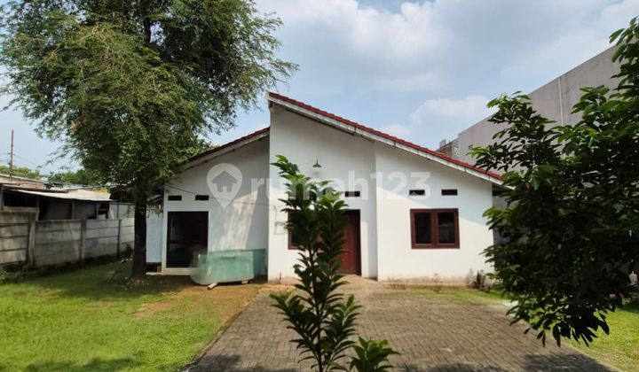 Dijual Murah Rumah Di Pondok Pinang Kebayoran Lama Jakarta Selatan, Halaman Luas, Jalan Lebar, Lokasi Tenang Dan Tidak Banjir