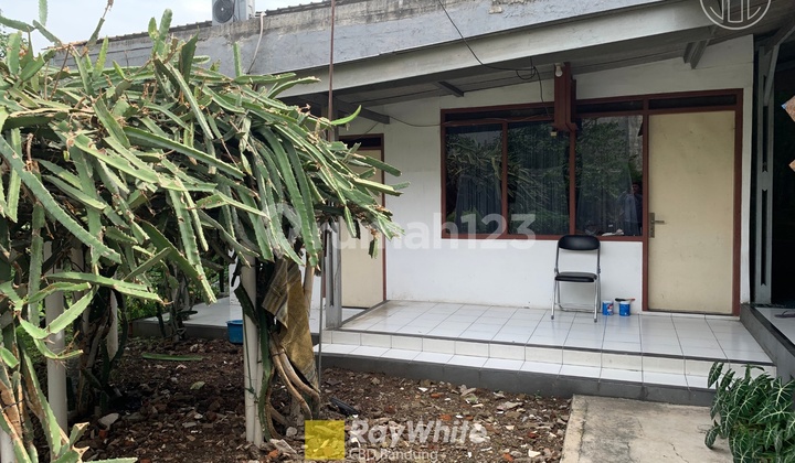 Office House Main Road Student Fighter 45 Large Backyard !! 2