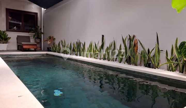 Brand New Villa For Rent In Sanur Near To Beach Brand New Villa For Rent In Sanur Near To Beach