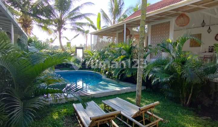 Villa in Ubud with Rice Fields and Sunset View