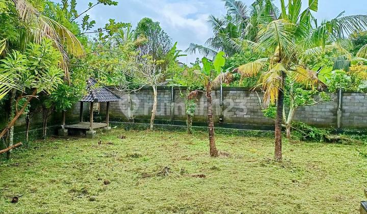 Land for Sale in Abian Base, Badung