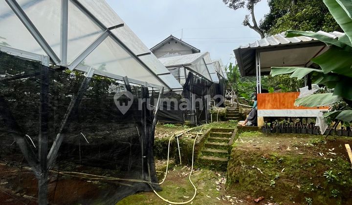 Dijual Tanah + Villa 3494m² Di Bogor SHM Dijual Tanah + Villa 3494m² Di Bogor SHM
