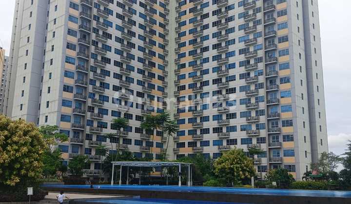 Disewakan Apartemen Siap Huni di Springlake View Tower Elodea, Summarecon Bekasi. Disewakan Apartemen Siap Huni di Springlake View Tower Elodea, Summarecon Bekasi.