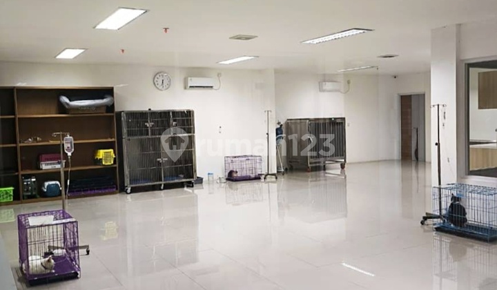 Tebet Komersial, Jalan Soepomo, Gudang, Padel, Sekolah