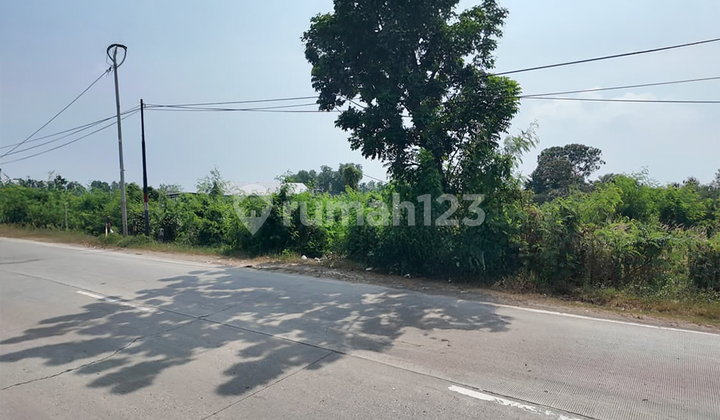 Kavling Komersial di Karawang Hadap Jalan Raya