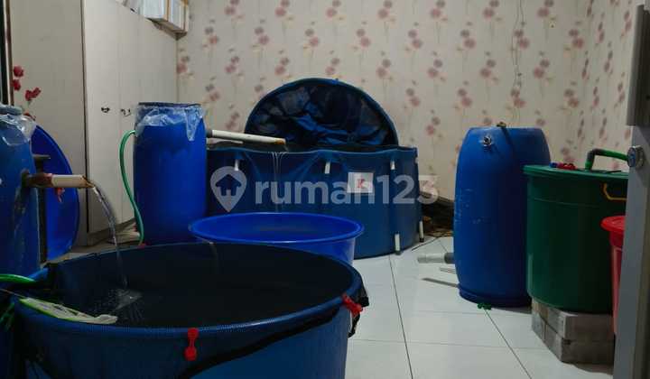 Cheap Twin Middle House for Sale 2