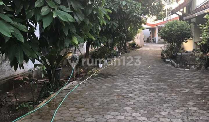 Jual Cepat Rumah di Kawasan Jalan Utama Malioboro Jogjakarta 2