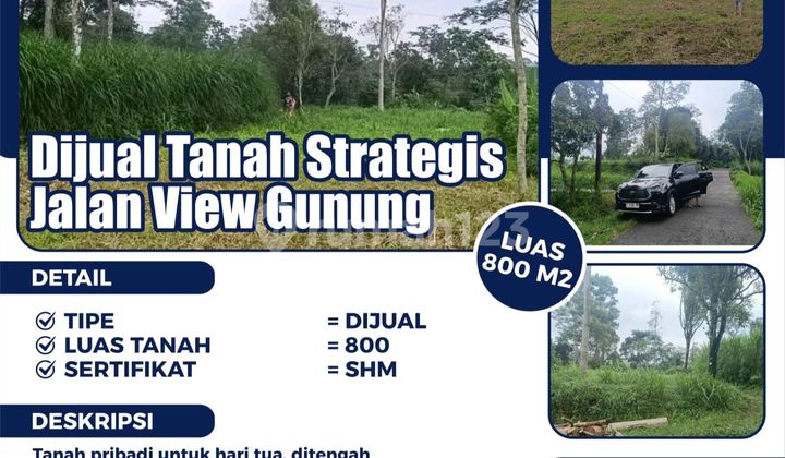 Land for Sale with Mountain and City Views on a Large Plot 2