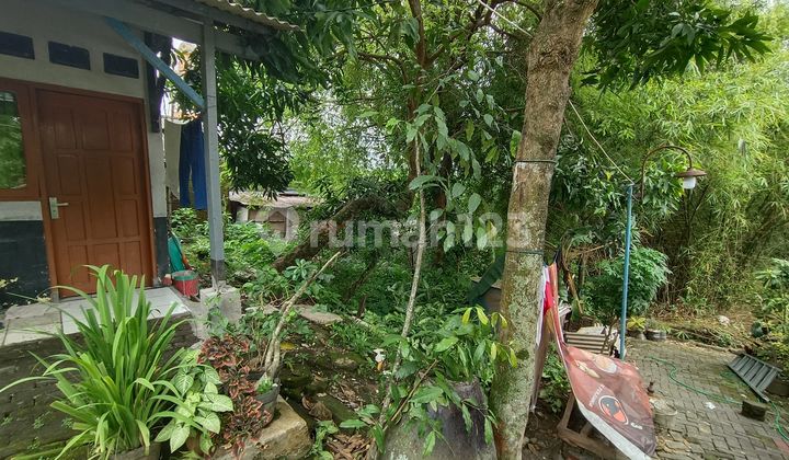 Dijual Tanah Kebun Siap Panen Di Gunung Pati 1