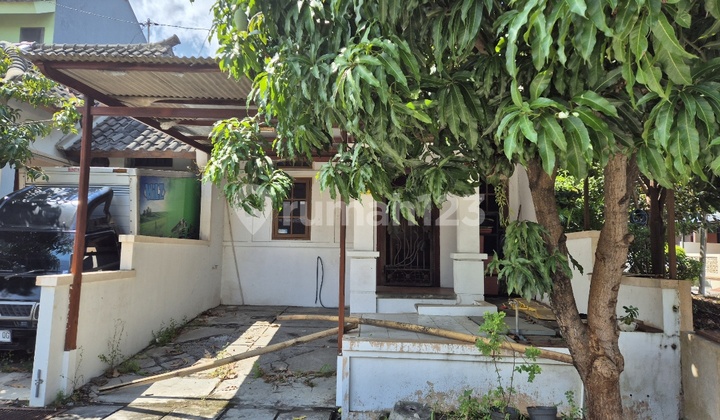 For Rent Ready-to-Occupy House Flood-Free Near Strategic Airport For Rent Ready-to-Occupy House Flood-Free Near Strategic Airport