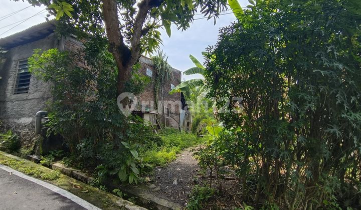 Dijual Tanah Kebun Siap Panen Di Gunung Pati 2