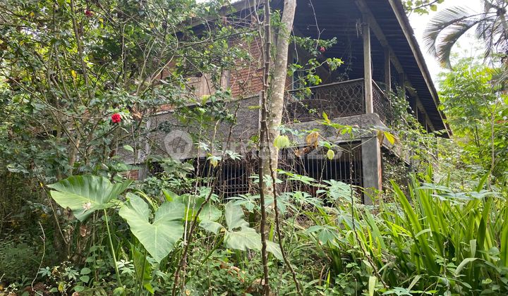 Strategic Wide Land in Argomulyo, Near Lung Hospital & White Cross