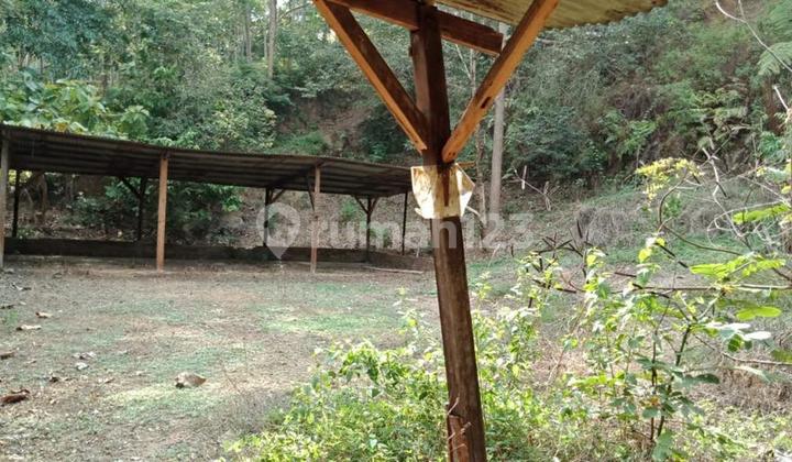 Tanah SHM 7200 m2 Cluwak, Pati Cocok untuk Gudang atau Pabrik