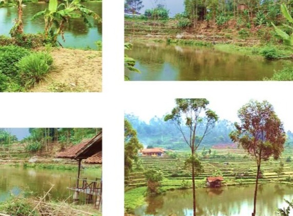 Tanah & Kolam Ikan di Desa Alam Endah Situ Lengkong Ciwidey Tanah & Kolam Ikan di Desa Alam Endah Situ Lengkong Ciwidey