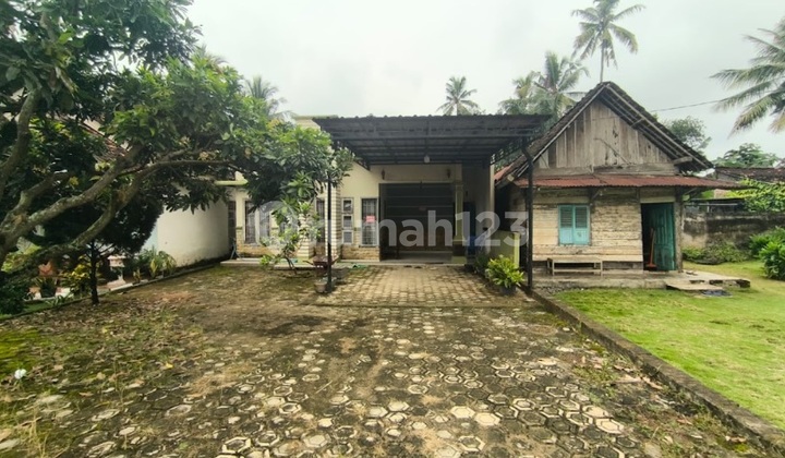 Rumah Strategis di Bekri Lampung Tengah Rumah Strategis di Bekri Lampung Tengah