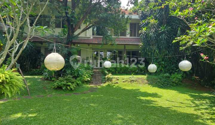 Villa house with a spacious yard is rare in Jakarta.