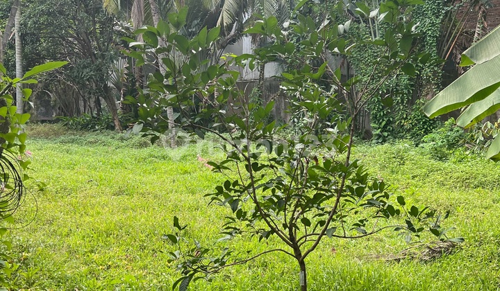 For Sale Land in Kemang Price Reduced Suitable for Housing Cluster and Other Businesses For Sale Land in Kemang Price Reduced Suitable for Housing Cluster and Other Businesses