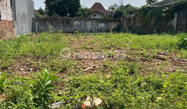 Dijual Tanah Kemang Cocok Untuk Perumahan Wilayah Strategis Bebas Banjir Dijual Tanah Kemang Cocok Untuk Perumahan Wilayah Strategis Bebas Banjir