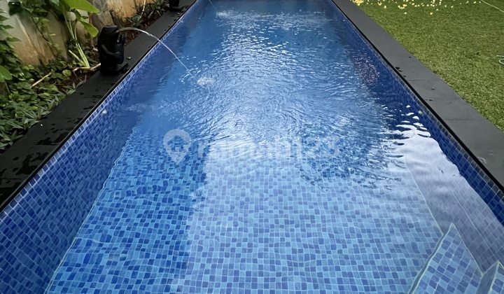Disewakan Rumah Luxury 2 Lantai Plus Swimming Pool Disewakan Rumah Luxury 2 Lantai Plus Swimming Pool