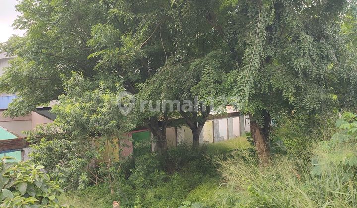 Land Plot Area 1400m² Price 3.5 million/m² Suitable for Warehouse / Factory Balaraja Tangerang