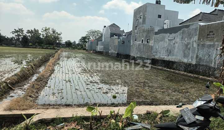 Tanah Sawah (Shm Kering) di Badran Baru Papahan Karanganyar Tanah Sawah (Shm Kering) di Badran Baru Papahan Karanganyar