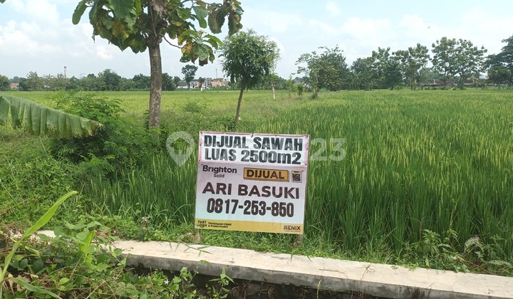 TANAH SHM KERING UNTUK BERBAGAI INVESTASI