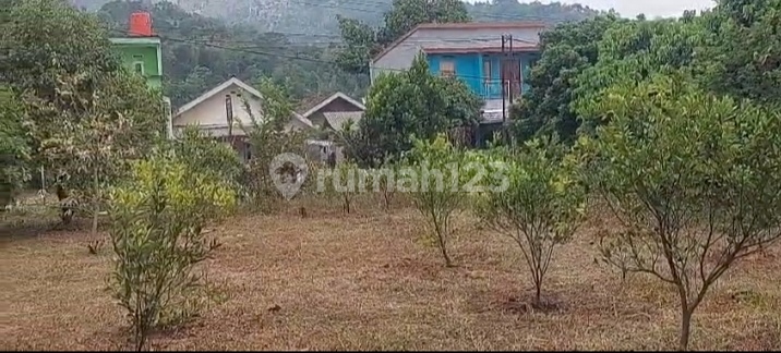 Di Jual Tanah Beserta Fasilitasnya Tanah Datar.