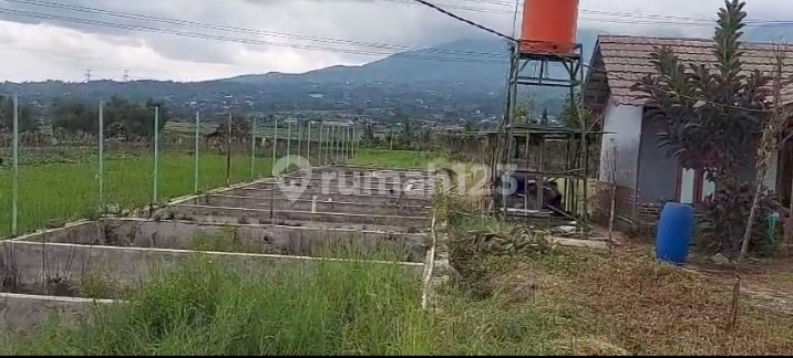 Di Jual Tanah Beserta Fasilitasnya Tanah Datar.