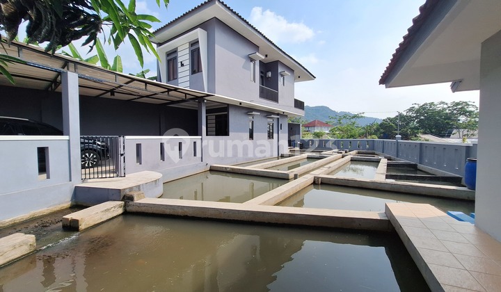 Jual Rumah dan Kolam Ikan 1