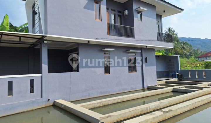 Jual Rumah dan Kolam Ikan 2