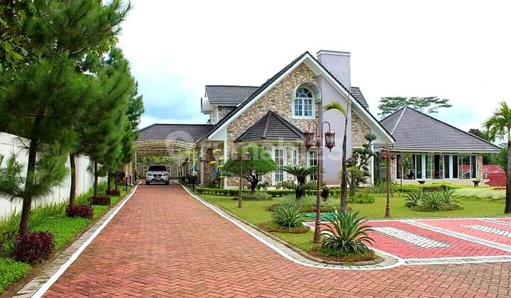 FOR SALE LUXURY VILLA WITH FULL FACILITIES IN CIAMPEA BOGOR WEST JAVA FOR SALE LUXURY VILLA WITH FULL FACILITIES IN CIAMPEA BOGOR WEST JAVA