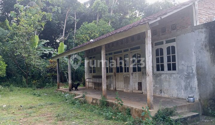Tanah Murah Luas Suasana Desa Susukan Kab Semarang 1