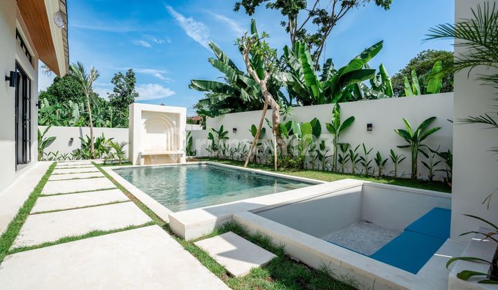 Villa Murah Canggu Villa Murah Canggu