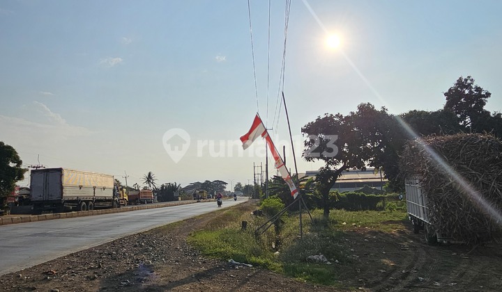 LAND FOR SALE ON THE NORTH COAST MAIN ROAD 1 PAMANUKAN SUBANG, NEAR PAMANUKAN TOLL GATE AND PATIMBAN PORT LAND FOR SALE ON THE NORTH COAST MAIN ROAD 1 PAMANUKAN SUBANG, NEAR PAMANUKAN TOLL GATE AND PATIMBAN PORT