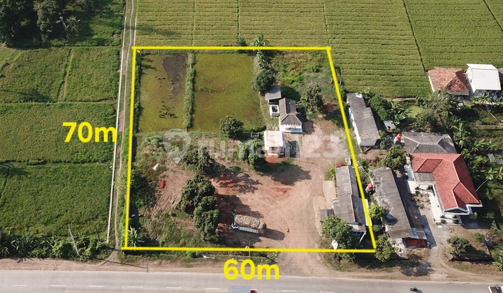 Dijual Tanah Strategis di Jalan Raya Pantura Subang Dekat dengan Pelabuhan Patimban dan Pintu Tol Pamanukan Dijual Tanah Strategis di Jalan Raya Pantura Subang Dekat dengan Pelabuhan Patimban dan Pintu Tol Pamanukan