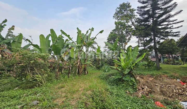 Dijual Tanah Strategis Daerah Cicurug Bangbayang Bogor Sukabumi 2