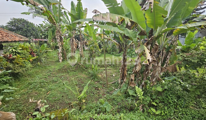 Tanah dan Bangunan Dijual Cepat Kawasan Sukabumi-Bogor 2