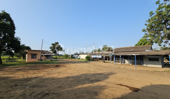 Dijual Tanah Komersial di Jalur Pantura Pamanukan Subang, Akses Pelabuhan Patimban Dijual Tanah Komersial di Jalur Pantura Pamanukan Subang, Akses Pelabuhan Patimban