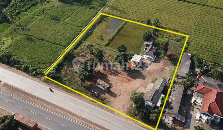 For Sale Or Rent Land Along Pantura Road Subang Near Pamanukan And Patimban