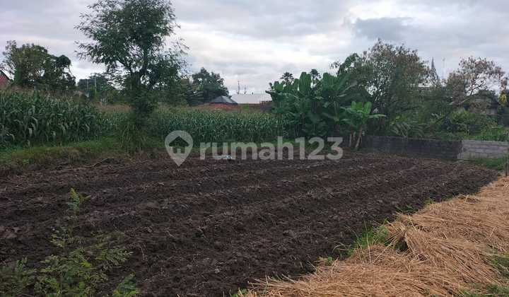 Tanah Potensial 2155 M² Sariharjo Ngaglik Sleman