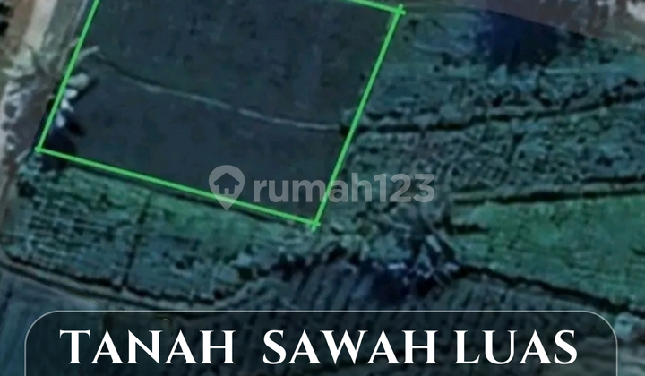 For Sale !! 1,077 m² Land in Bangunkerto Turi Tempel