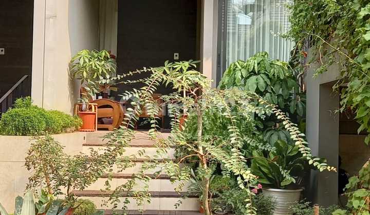 ⭐️⭐️⭐️QUICK SALE⭐️⭐️⭐️ 1