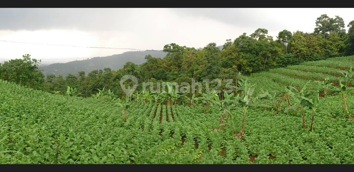DIJUAL TANAH KOSONG COCOK UNTUK VILLA ATAU KEBUN DENGAN VIEW KOTA BANDUNG LOKASI STRATEGIS